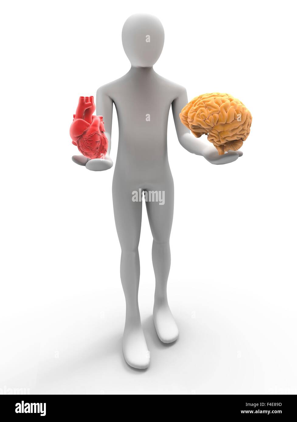 3D human with heart and brain Stock Photo