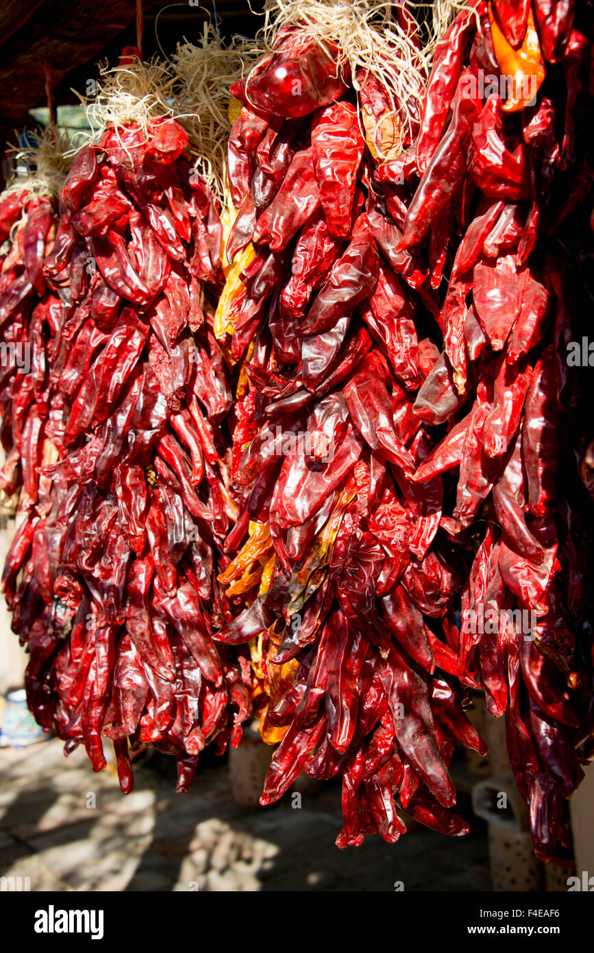 USA, Arizona, Tucson, Tubac. Southwest red chili peppers hanging in