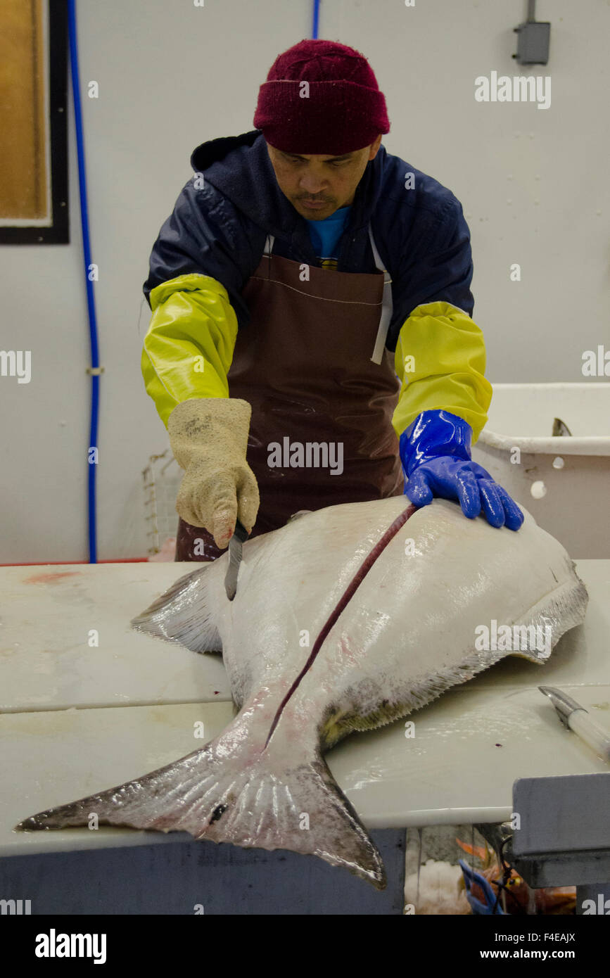 Prime select seafoods hires stock photography and images Alamy