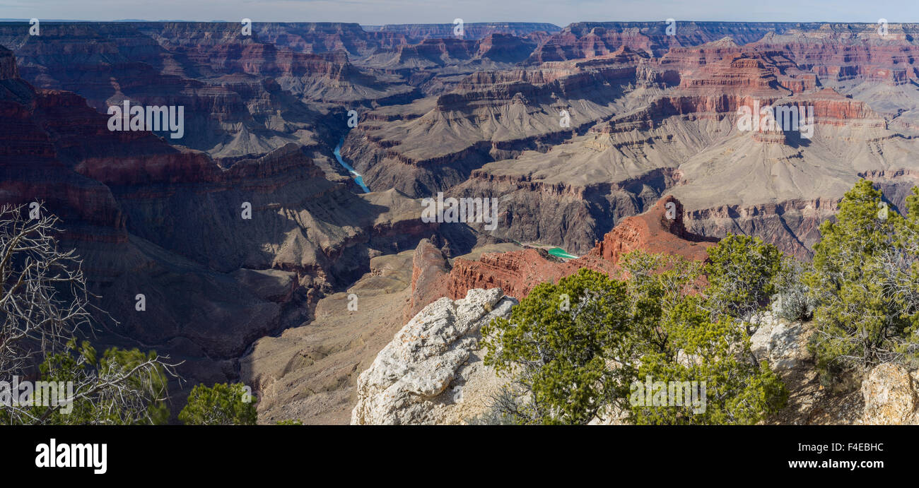 USA, Arizona, Grand Canyon NP-South Rim, Afternoon at Mohave Point, Colorado River visible in canyon. Panorama. (Large format sizes available) Stock Photo