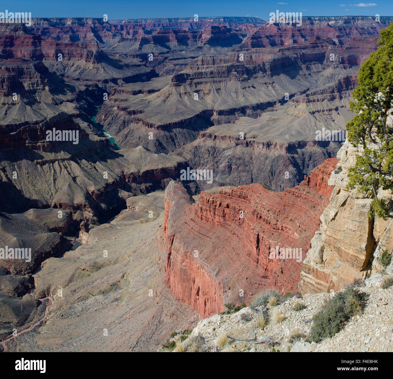 USA, Arizona, Grand Canyon NP-South Rim. View from Mohave Point. (Large format sizes available) Stock Photo