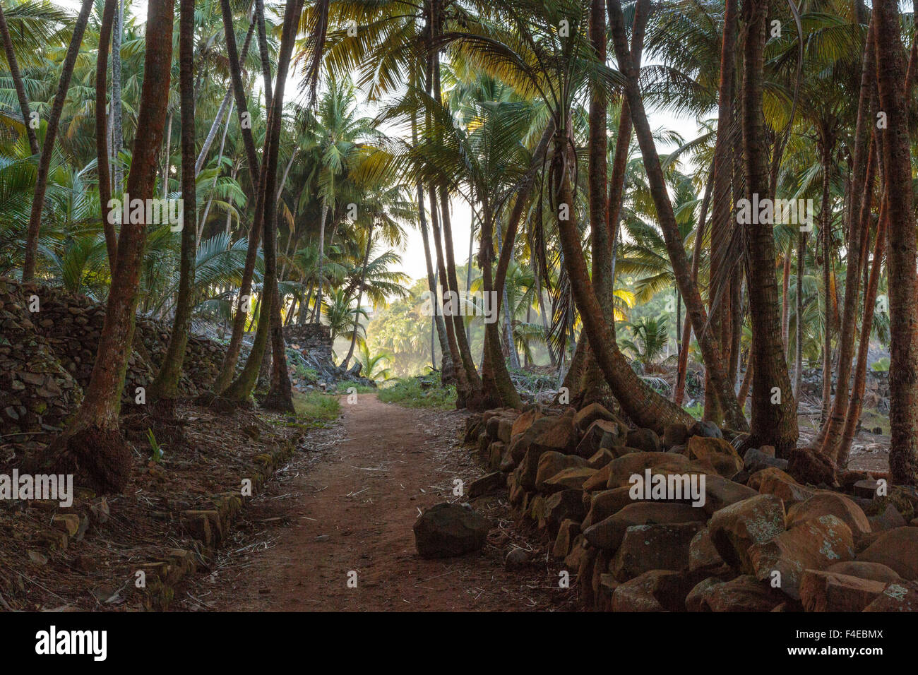 South America, French Guiana, Ile St. Joseph. Path through volcanic