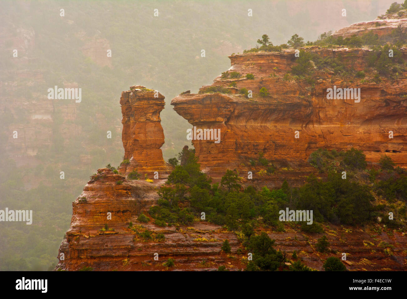 Rainy Day, Boynton Canyon, Red Rock Country, Sedona, Arizona, USA Stock Photo Alamy