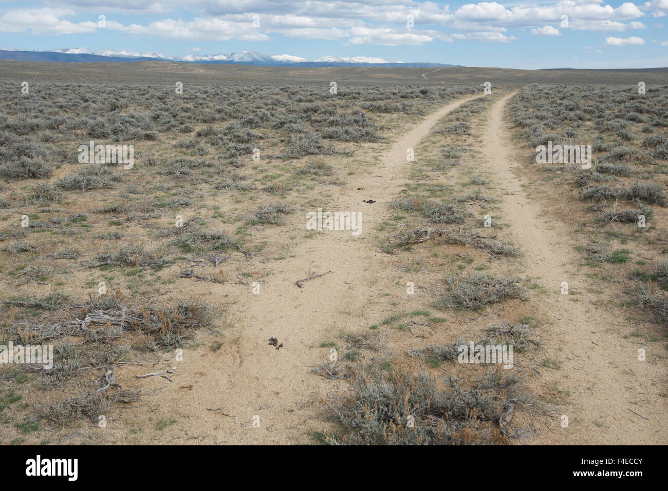 The Lander Cut-off trail, a section of the Oregon Trail, at Sand Springs, Wyoming, where it crosses Hwy 191, with the Wind River Range in the background. (Large format sizes available) Stock Photo
