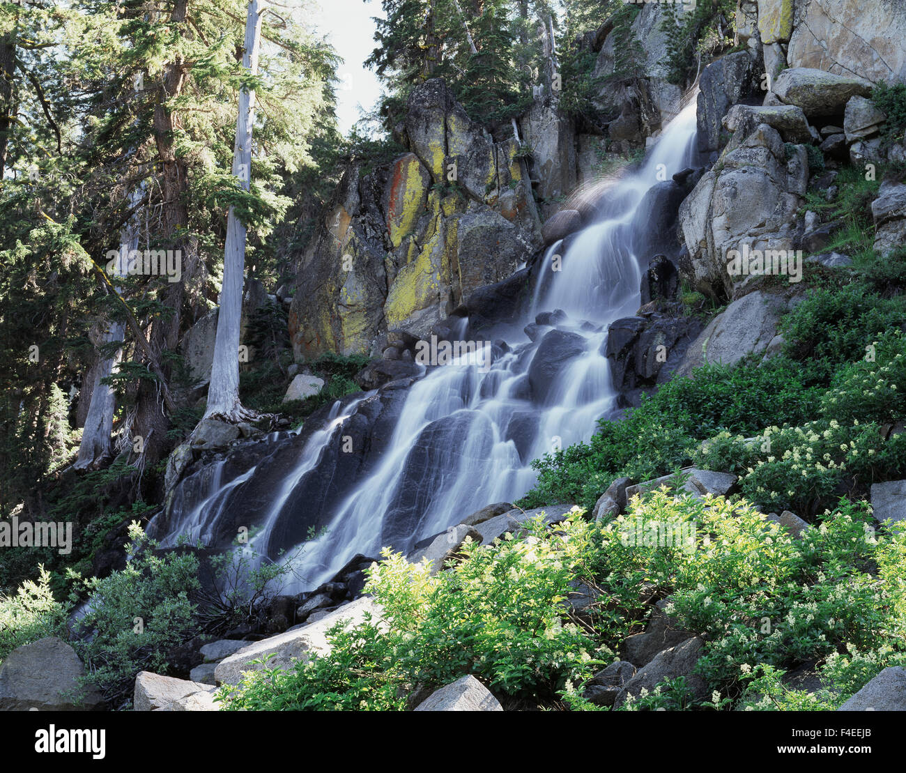 California, Sierra Nevada Mountains, Eldorado National Forest, A