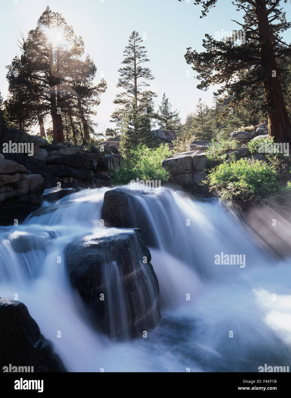 California, Sierra Nevada Mountains, A waterfall on Leavitt Creek in