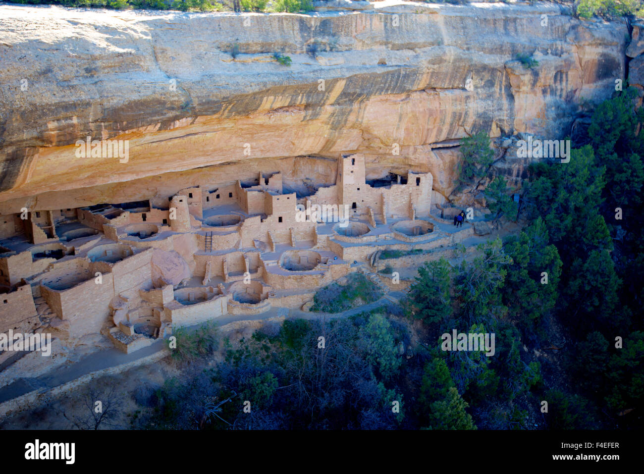 Cliff Palace Ancestral Puebloan ruins at Mesa Verde National Park ...