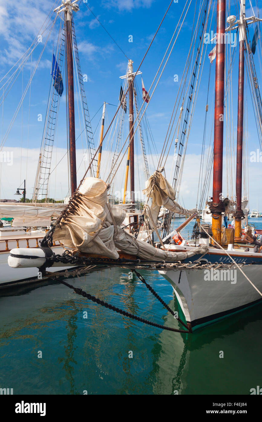 Florida Memory • Close-up view of deck house on board the historic Western  Union schooner - Key West, Florida