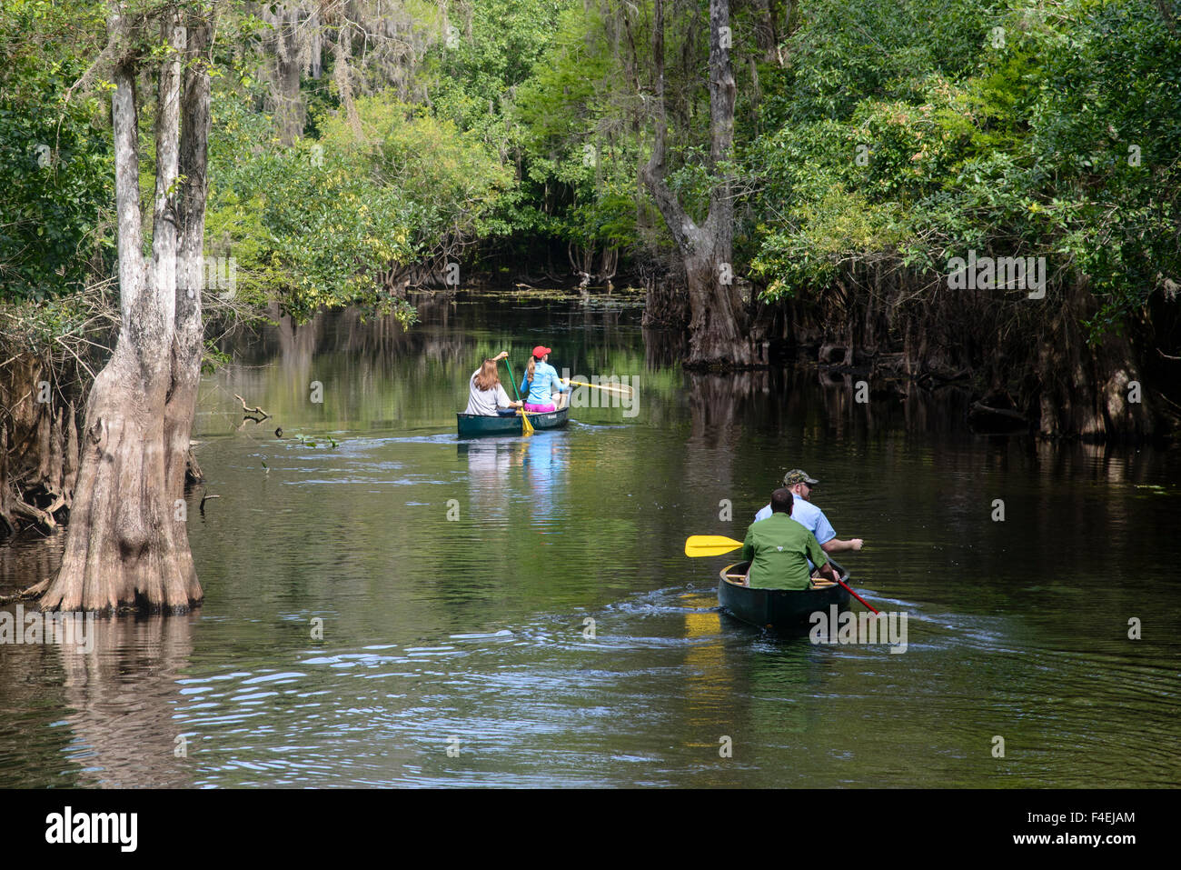 Tampa, Florida. People canoeing at Lettuce Lake Stock Photo Alamy