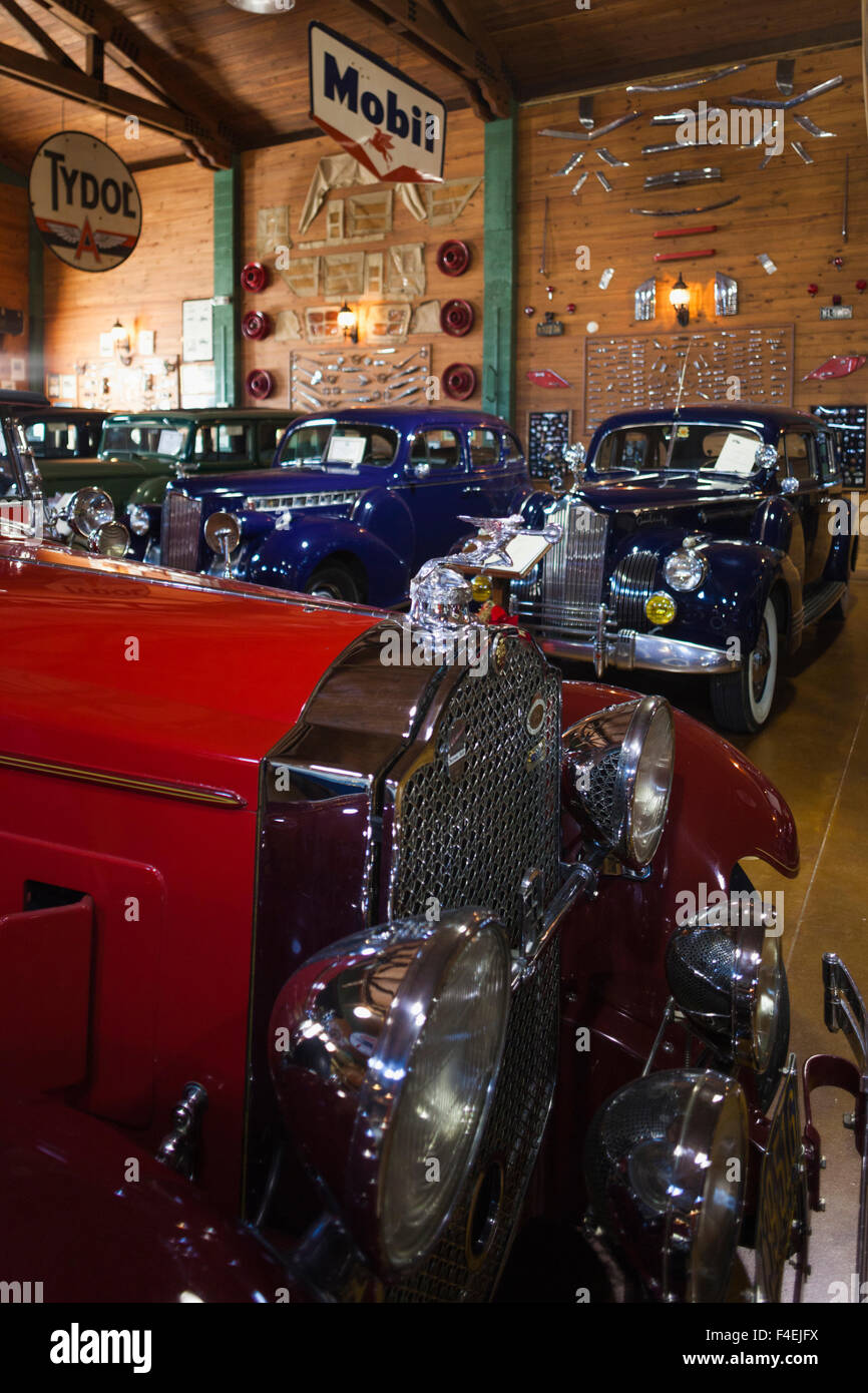 USA, Florida, Fort Lauderdale, Antique Car Museum, specializing in