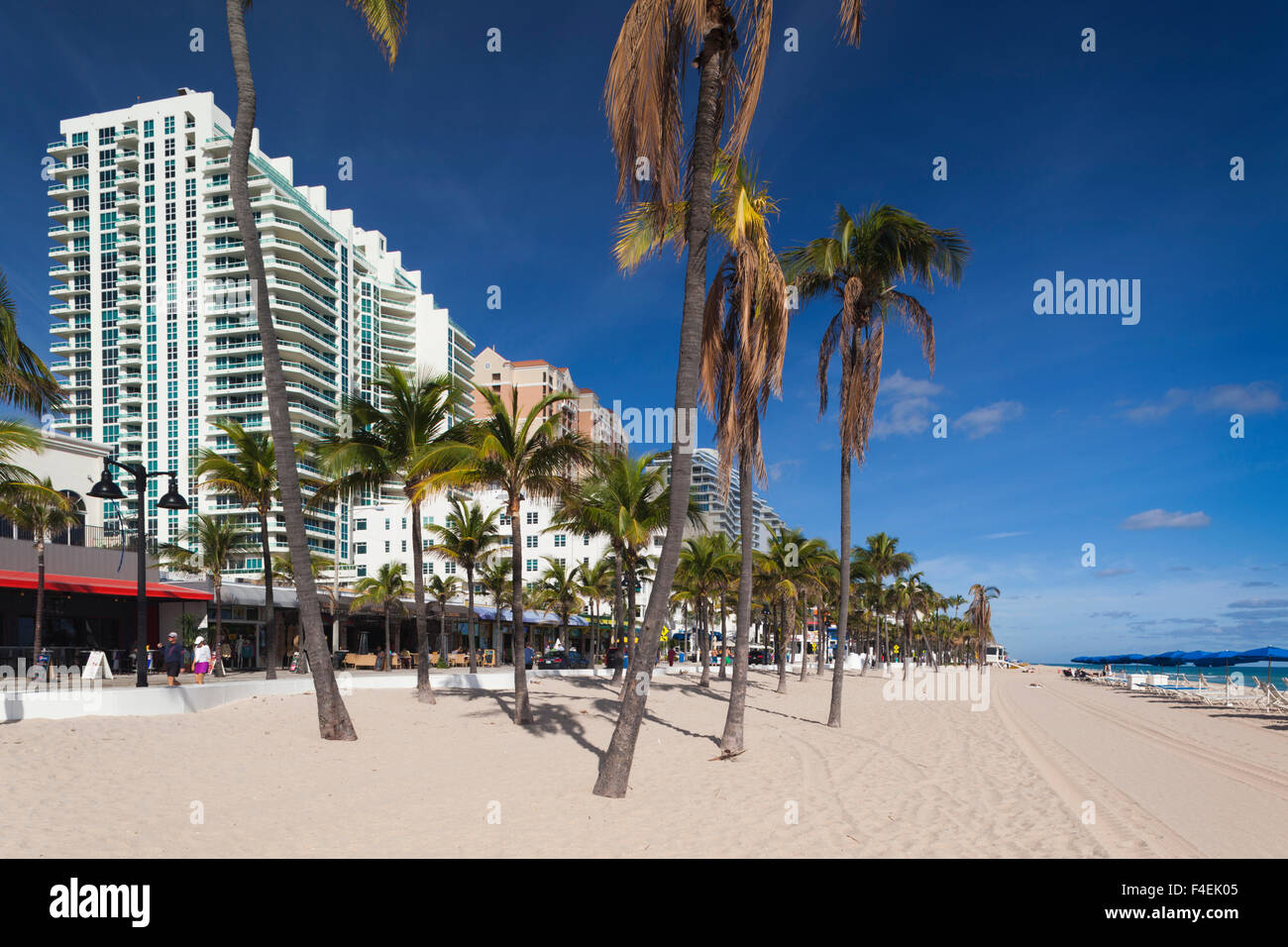 High Rise Apartments In Fort Lauderdale