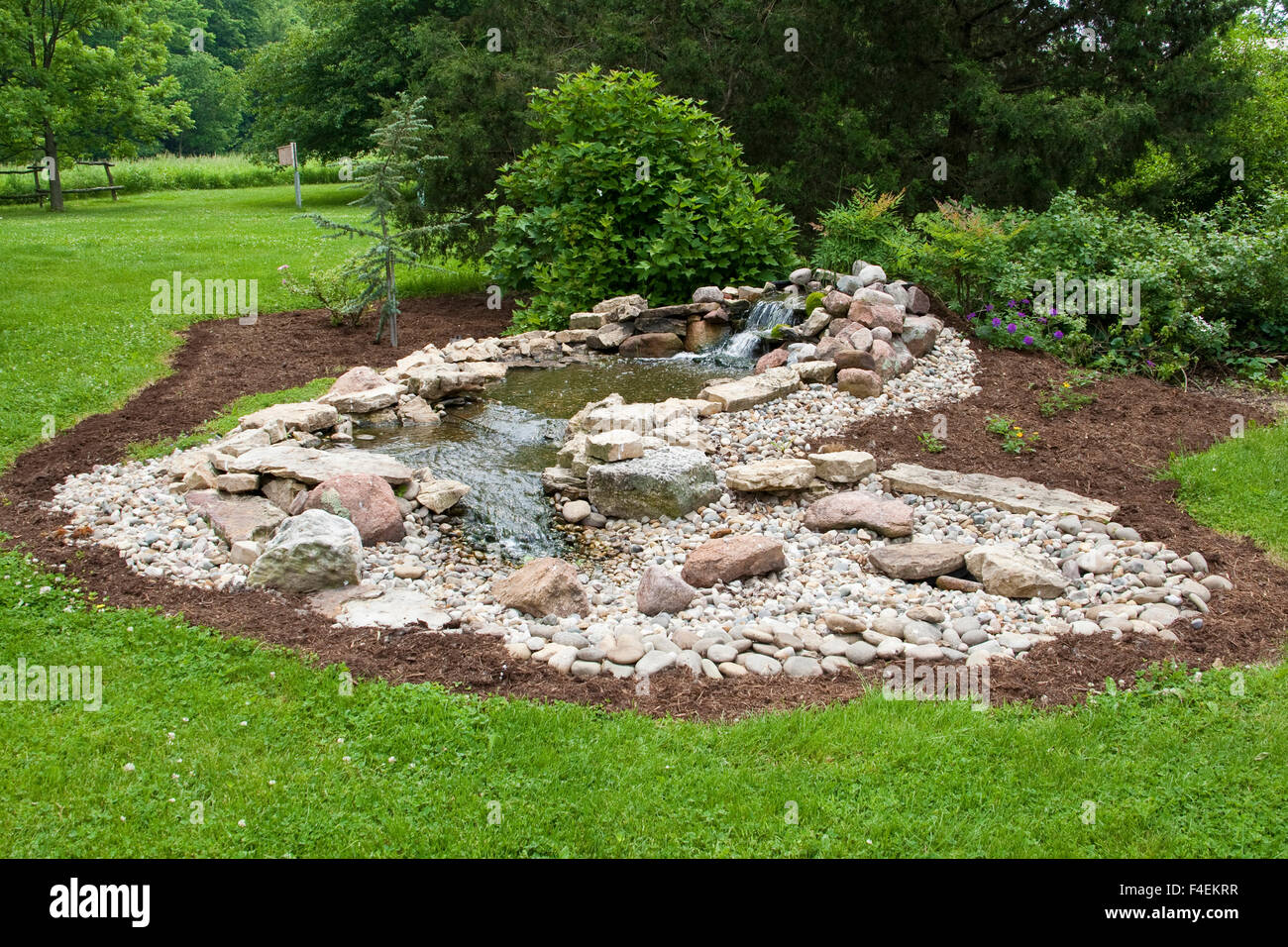 Backyard Habitat With Water Feature Garden Pond For Birds Plants