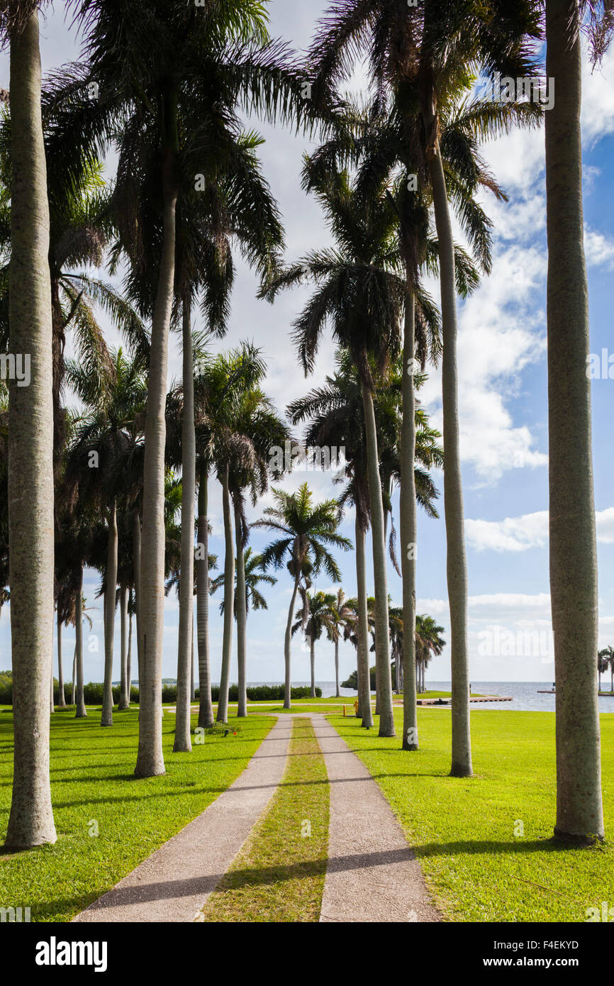 USA, Florida, Miami-area, Cutler, Deering Estate at Cutler, palm trees. Stock Photo