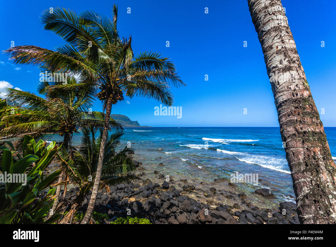 Tropical coastline of Princeville, HI Stock Photo Alamy