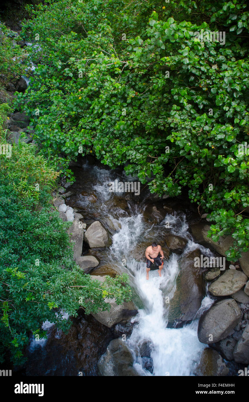 Cooling off in Iao Stream, Iao Valley State Monument, Maui, Hawaii, USA ...