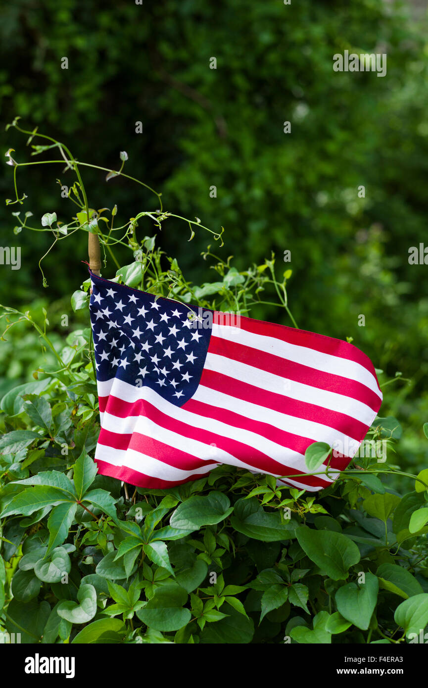 Massachusetts, Cape Cod, Barnstable, US flag Stock Photo