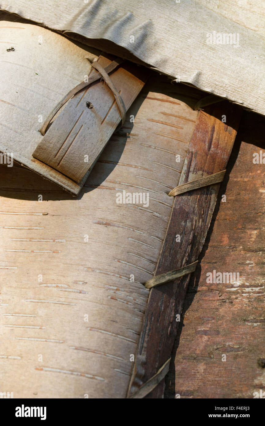 Maine, Bar Harbor, Acadia National Park. Wigwam (aka wikuwam) traditional American Indian birch bark structure. Detail of bark construction. Stock Photo