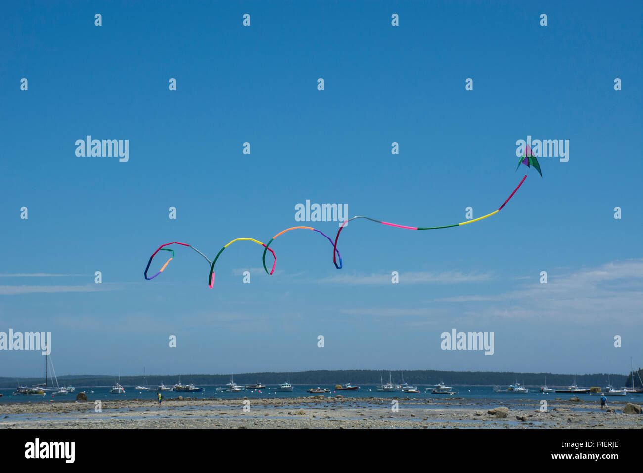 Maine, Bar Harbor. Bar Island, accessed only at low tide by a sandbar that emerges from the ocean. Colorful spinning acrobatic kite flying over the Land Bridge at low tide. Stock Photo