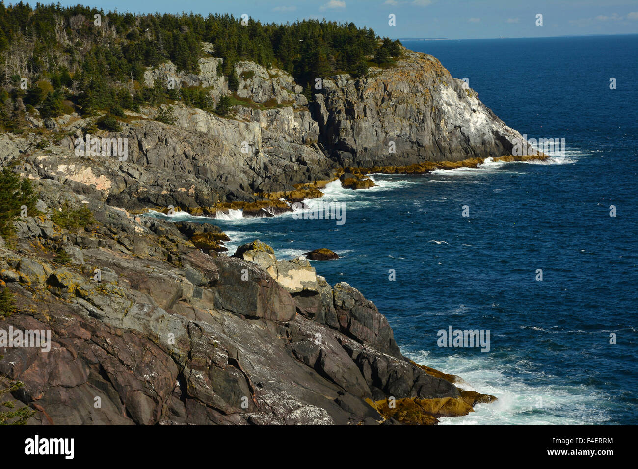 Cliffs and surf off Monhegan Island, Maine, USA Stock Photo Alamy