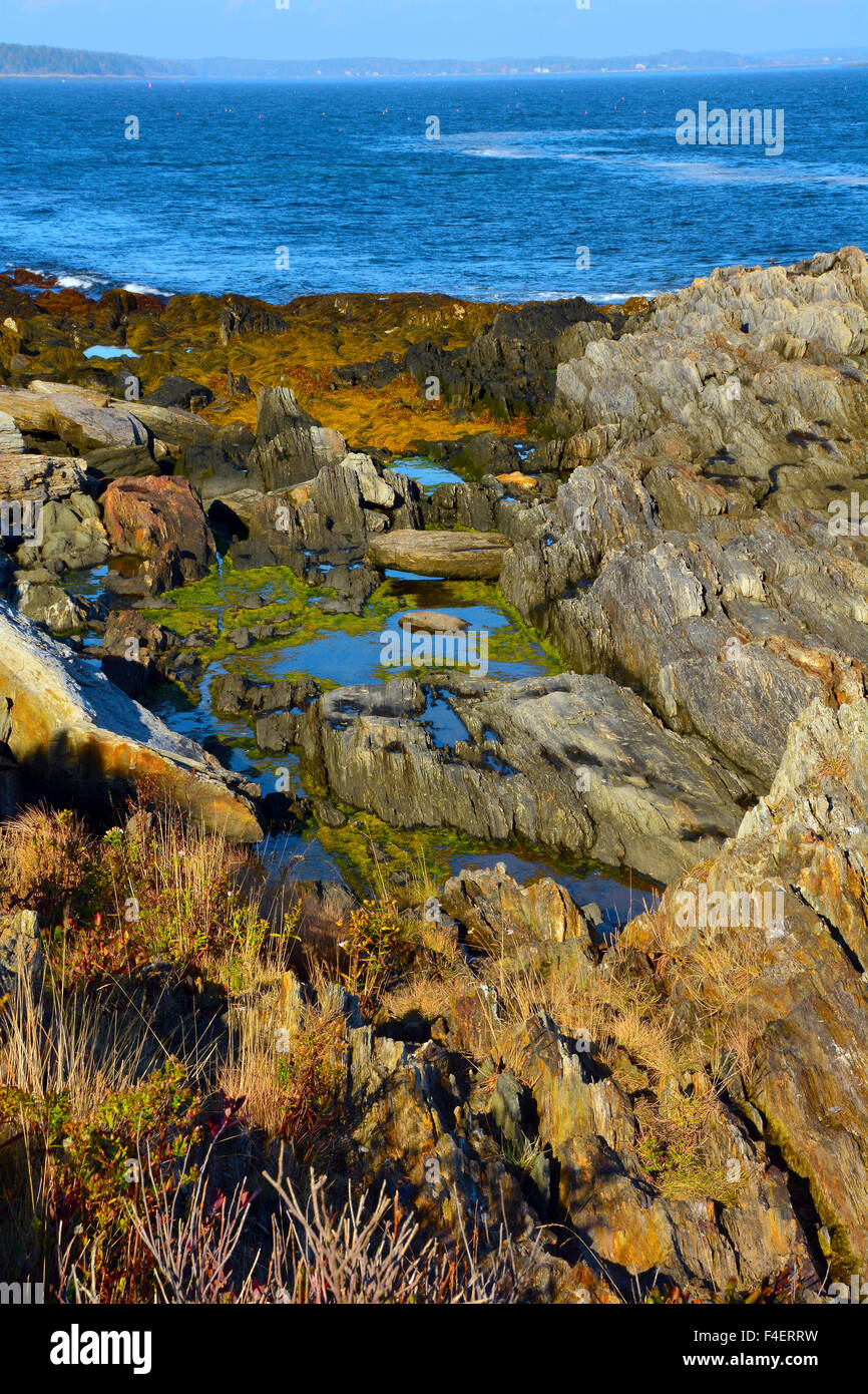 Giant Steps, Bailey Island, Maine, USA Stock Photo Alamy