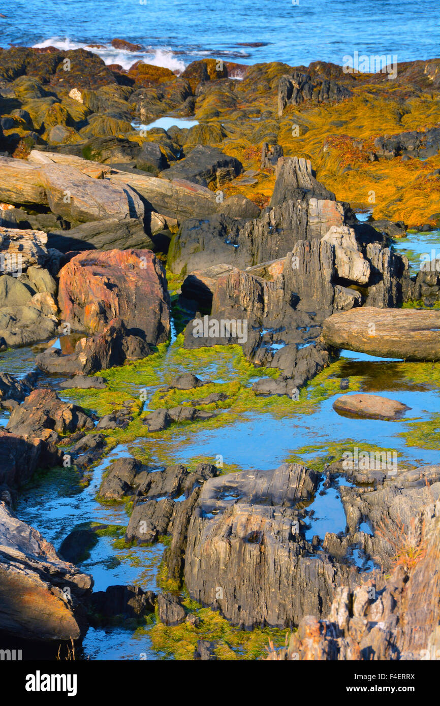 Giant Steps, Bailey Island, Maine, USA Stock Photo Alamy