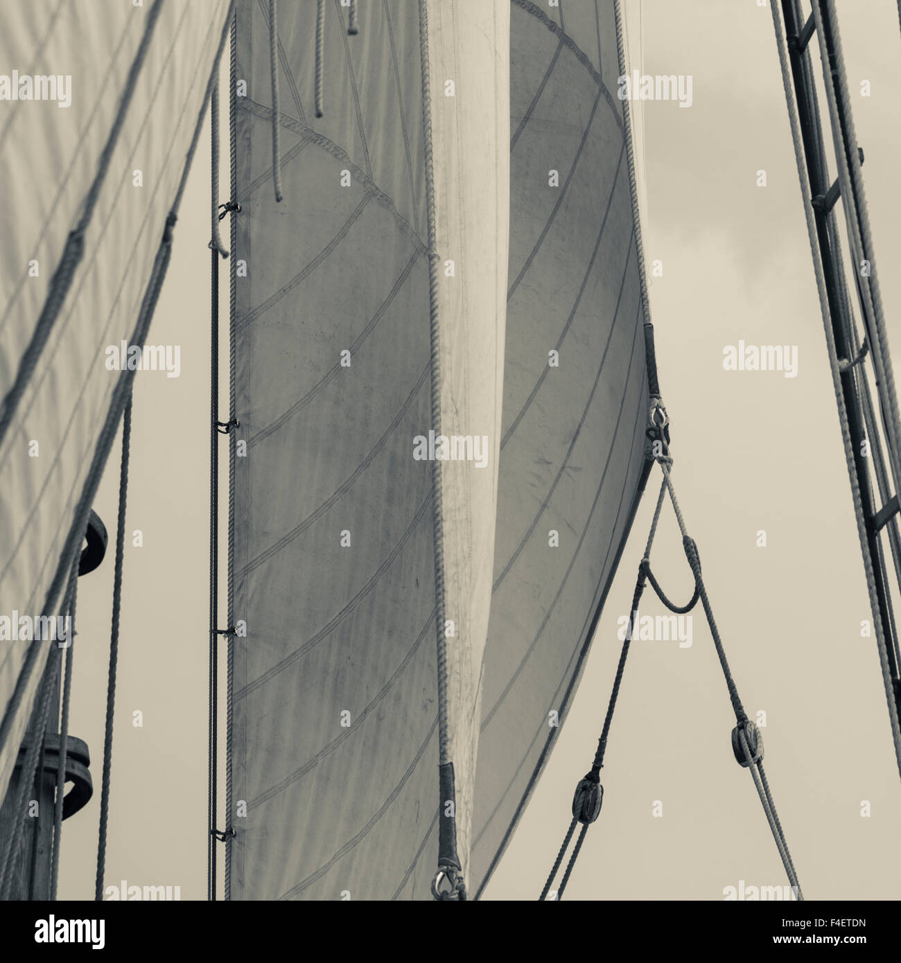 Massachusetts, Gloucester, Schooner Festival, sails and masts (Large