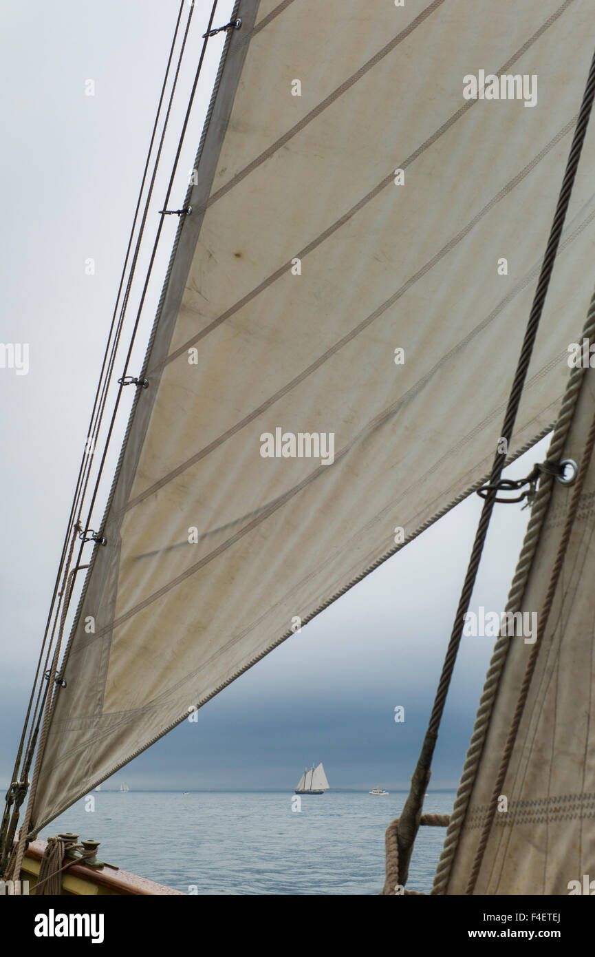 Massachusetts, Gloucester, Schooner Festival, sails and masts Stock