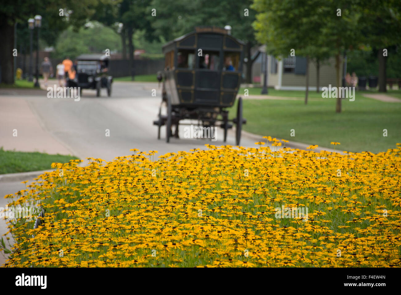 Susan greenfield hires stock photography and images Alamy