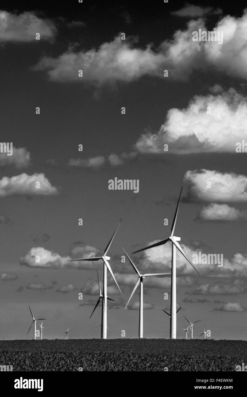 Dexter minnesota Black and White Stock Photos & Images Alamy