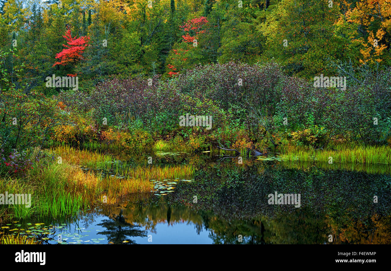 Michigan, Lake Beaufort. Lush fall vegetation reflecting in a lake ...