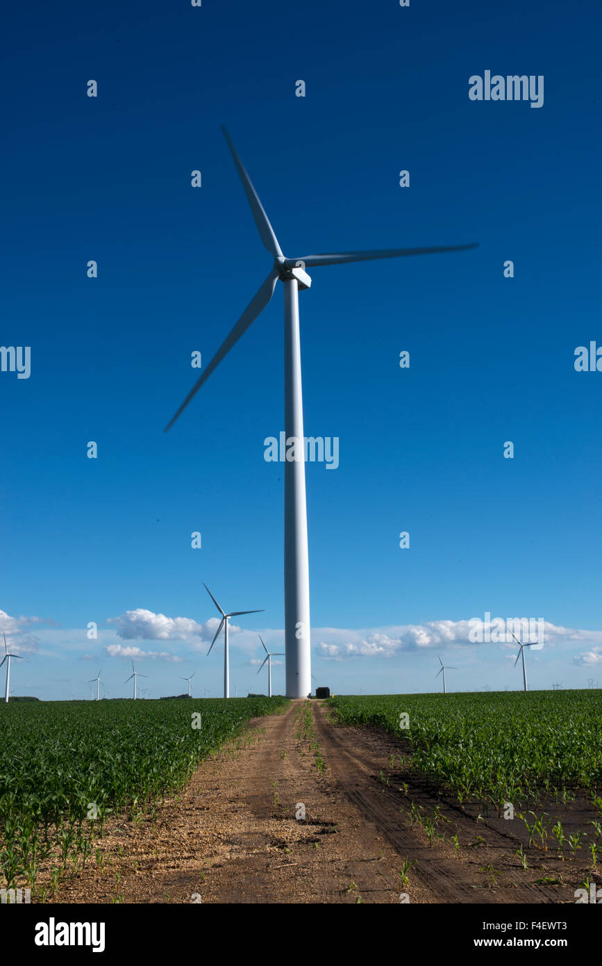 Minnesota, Dexter, Grand Meadow Wind Farm (Large format sizes available