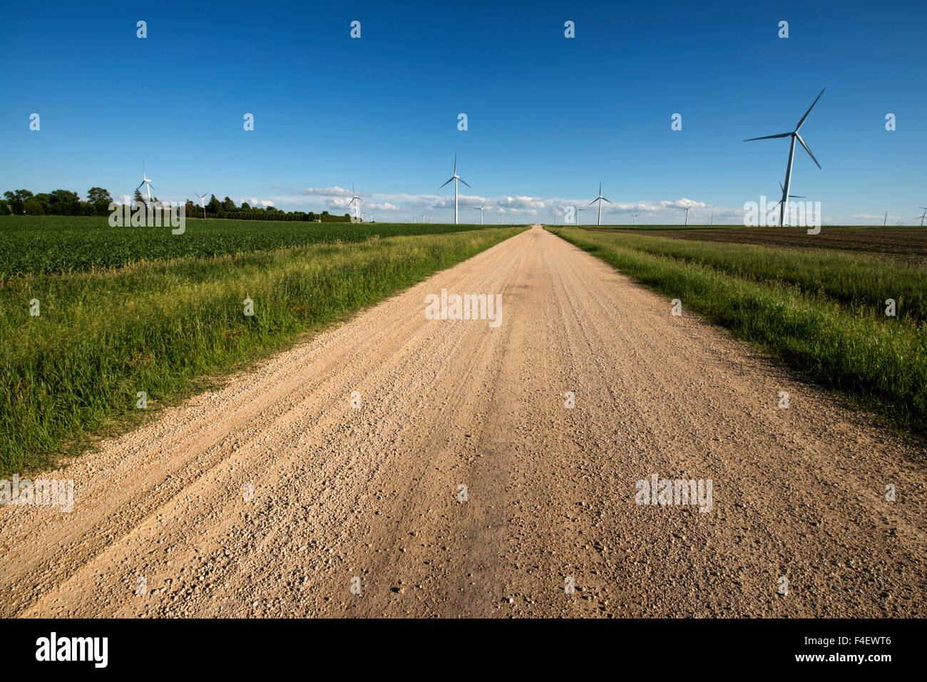 Minnesota, Dexter, Grand Meadow Wind Farm (Large format sizes available