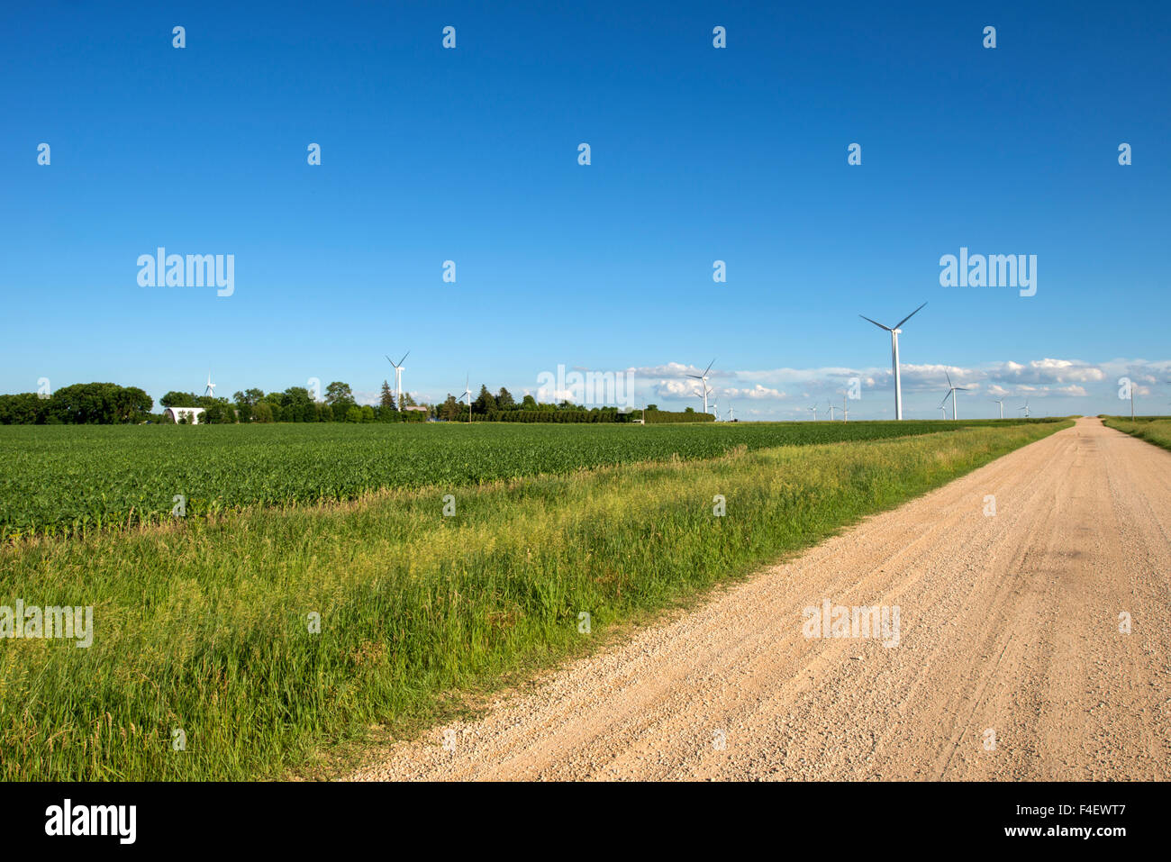 Minnesota, Dexter, Grand Meadow Wind Farm (Large format sizes available