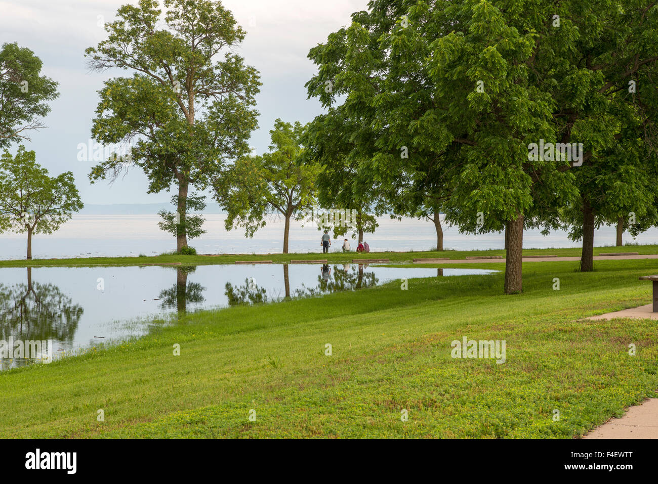 Minnesota, Lake City, Mississippi River Flooding (Large format sizes
