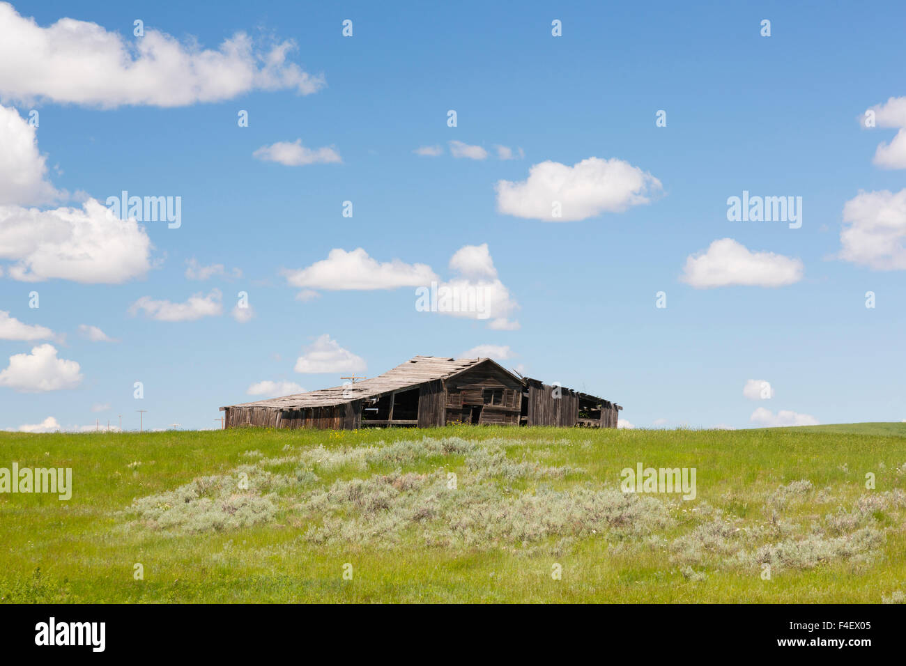 USA, Montana, Chouteau County, Old homestead Stock Photo - Alamy