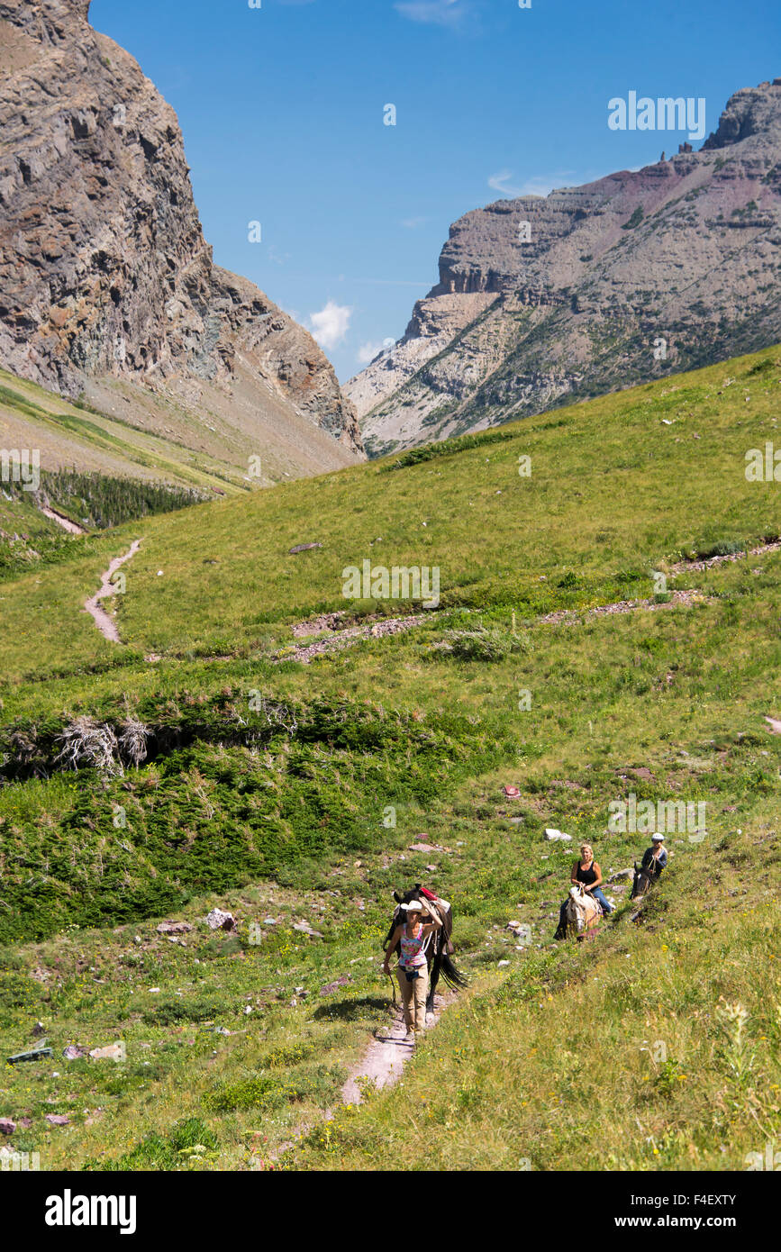 USA, Montana, Glacier National Park. Guided horse ride on trail to