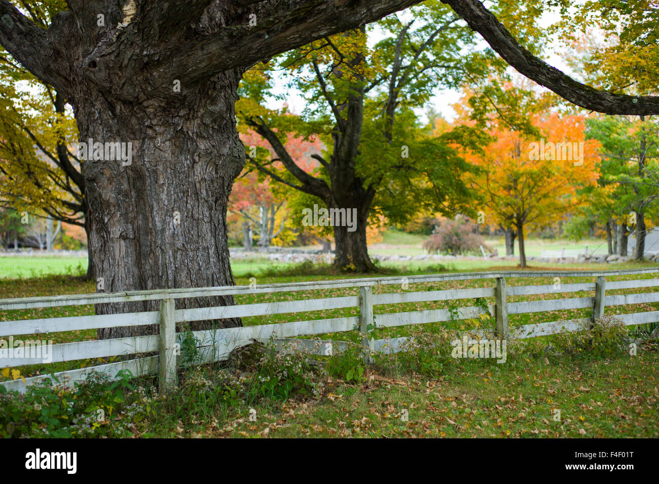 New Hampshire, Canterbury Shaker Village, former Shaker religious