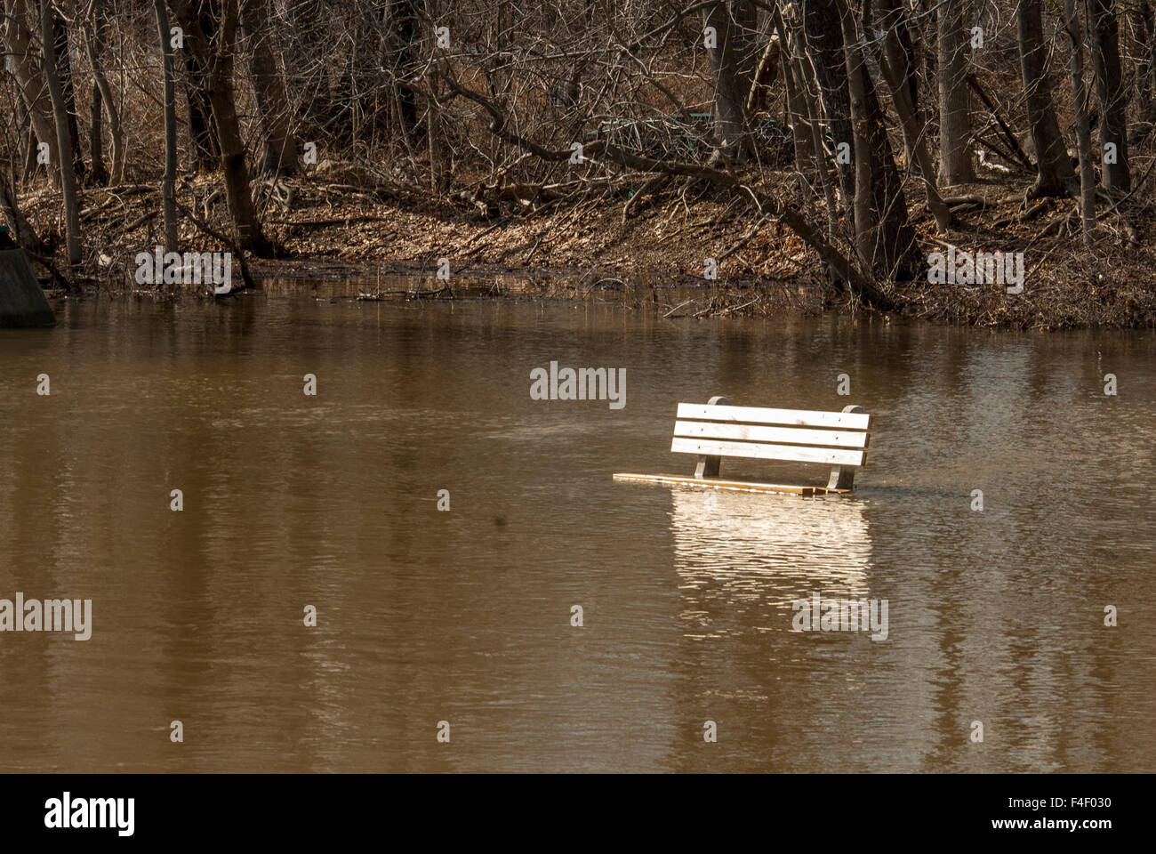 USA, New Jersey, Clinton, South Branch of Raritan River Basin, spring