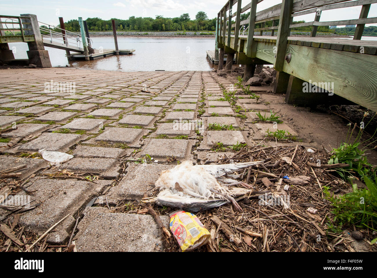 Water pollution new jersey hires stock photography and images Alamy