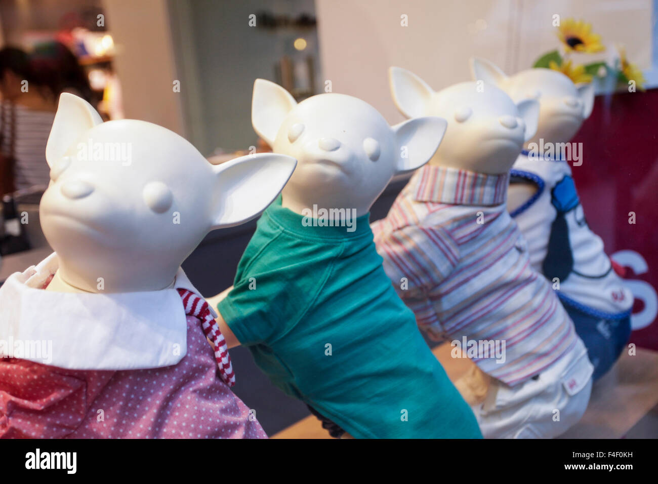 Clothing store for dogs, New York City, New York. USA Stock Photo Alamy