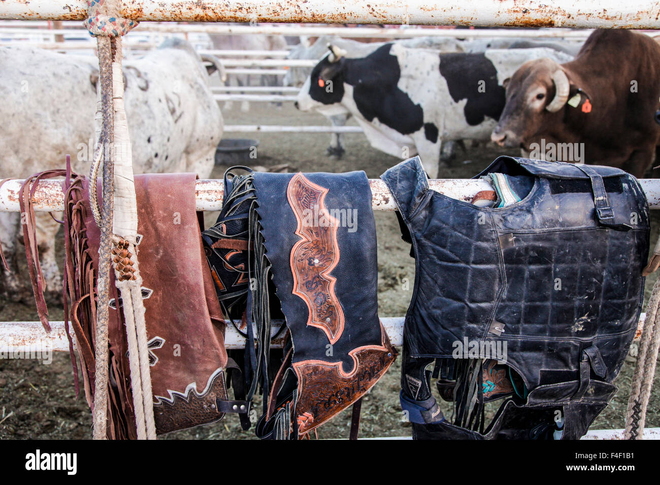 Bull pen hires stock photography and images Alamy