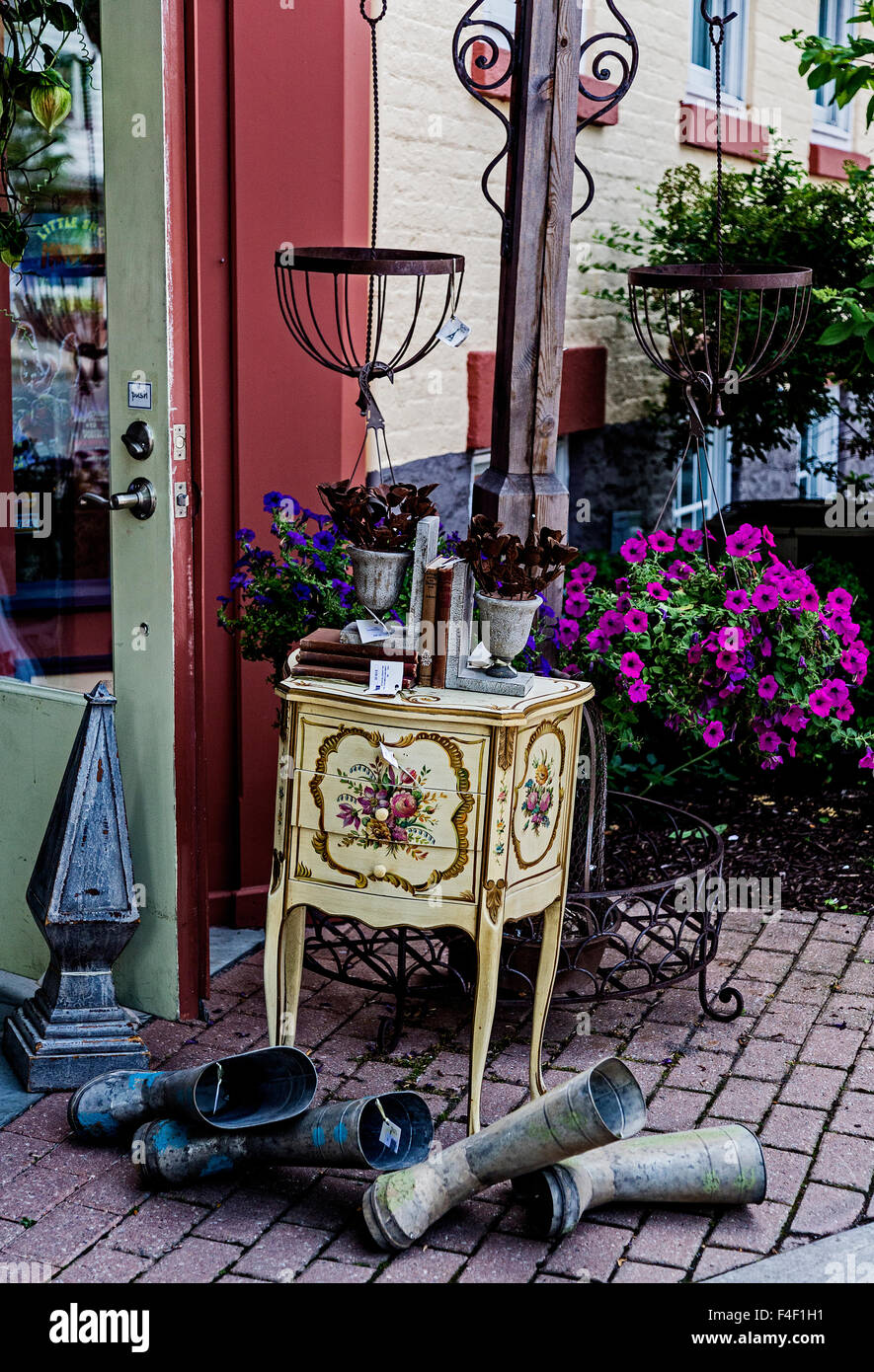 Walking the streets of Skaneateles New York State Stock Photo Alamy