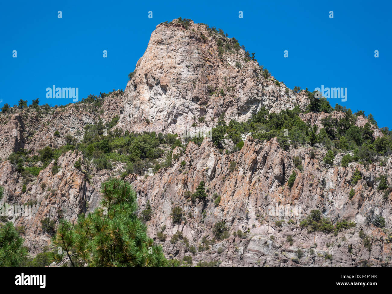 Mountain with trees and blue sky background Stock Photo - Alamy