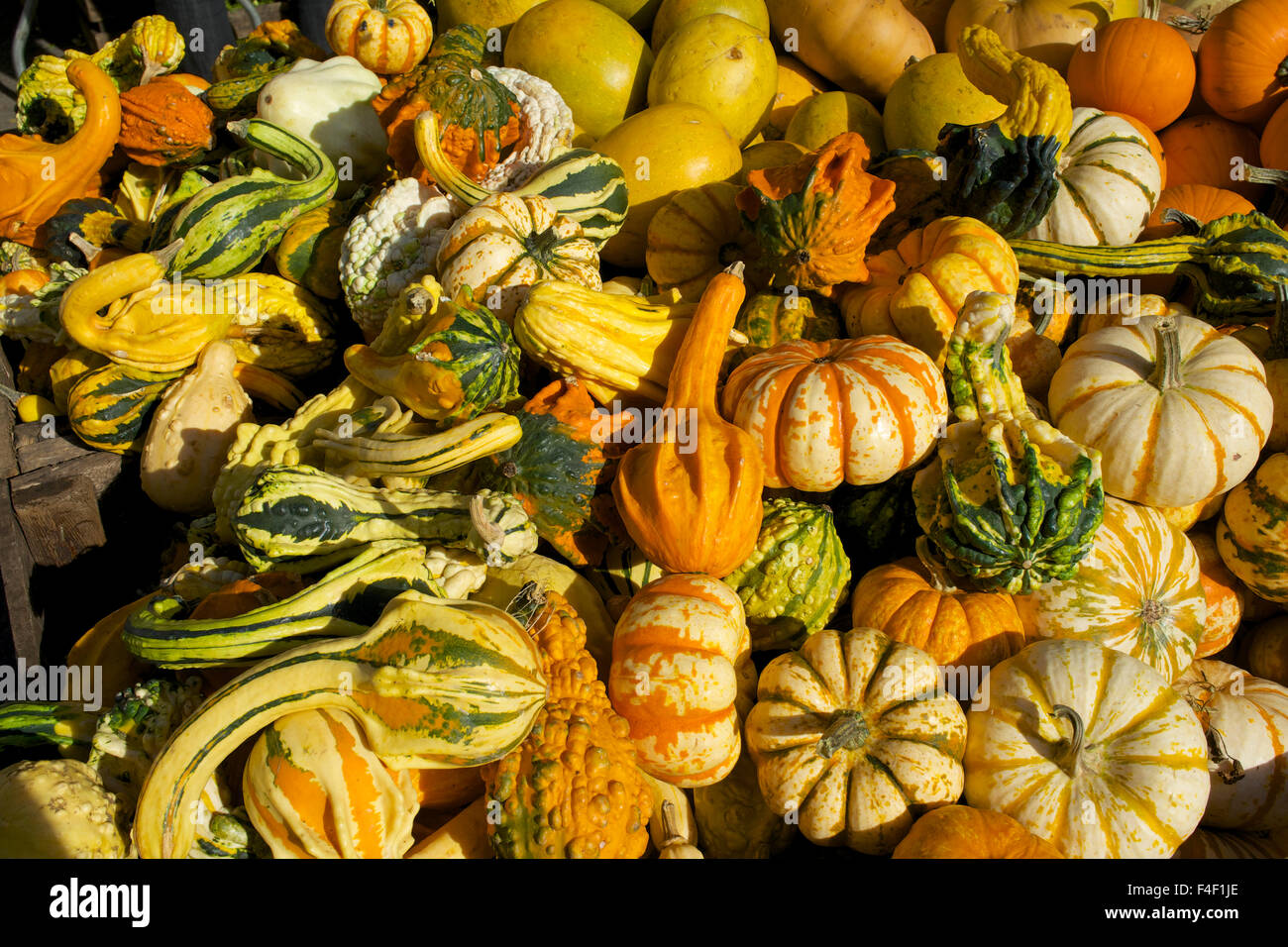 USA, New York City, market in Union Square Stock Photo Alamy