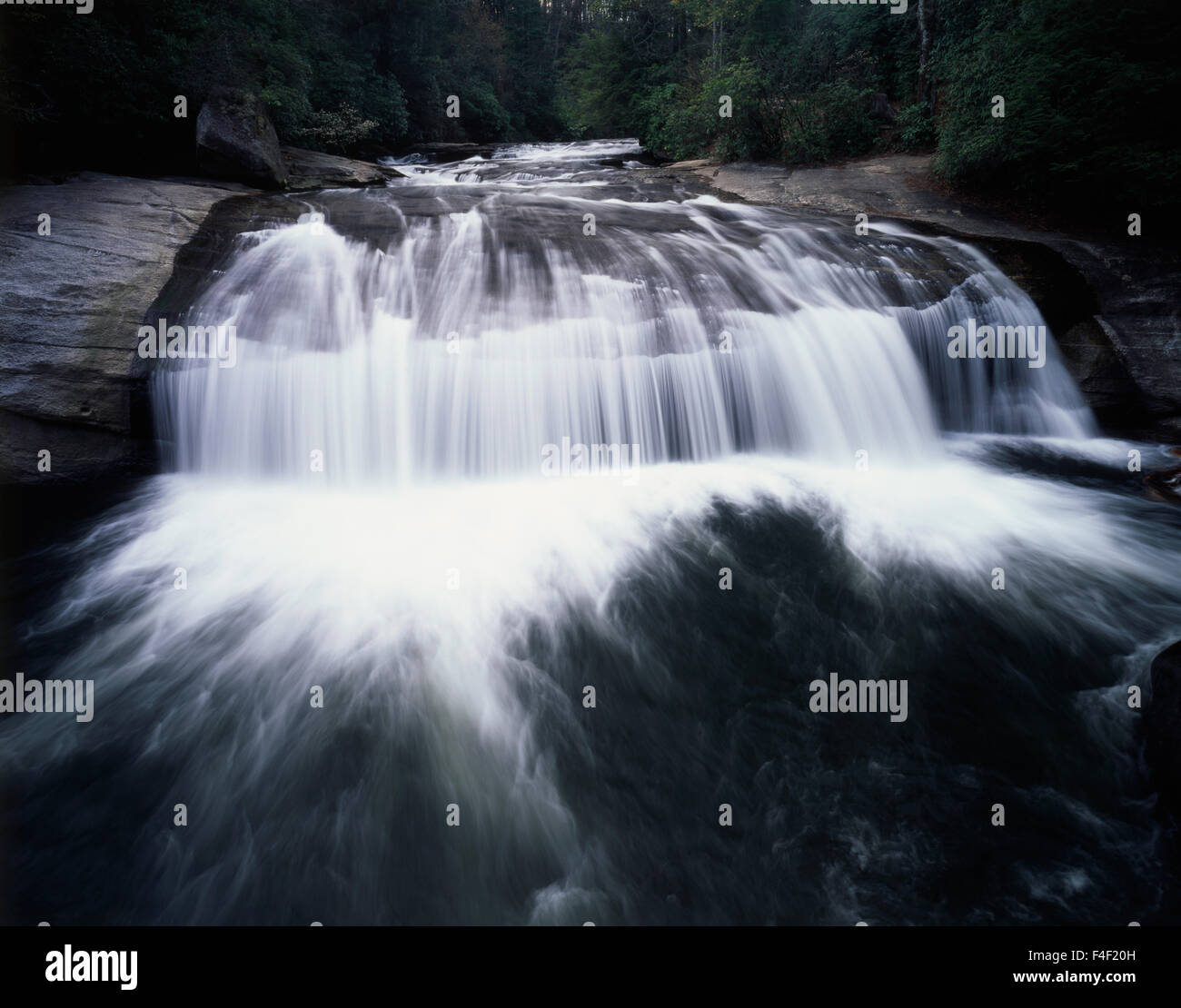 My Image 36