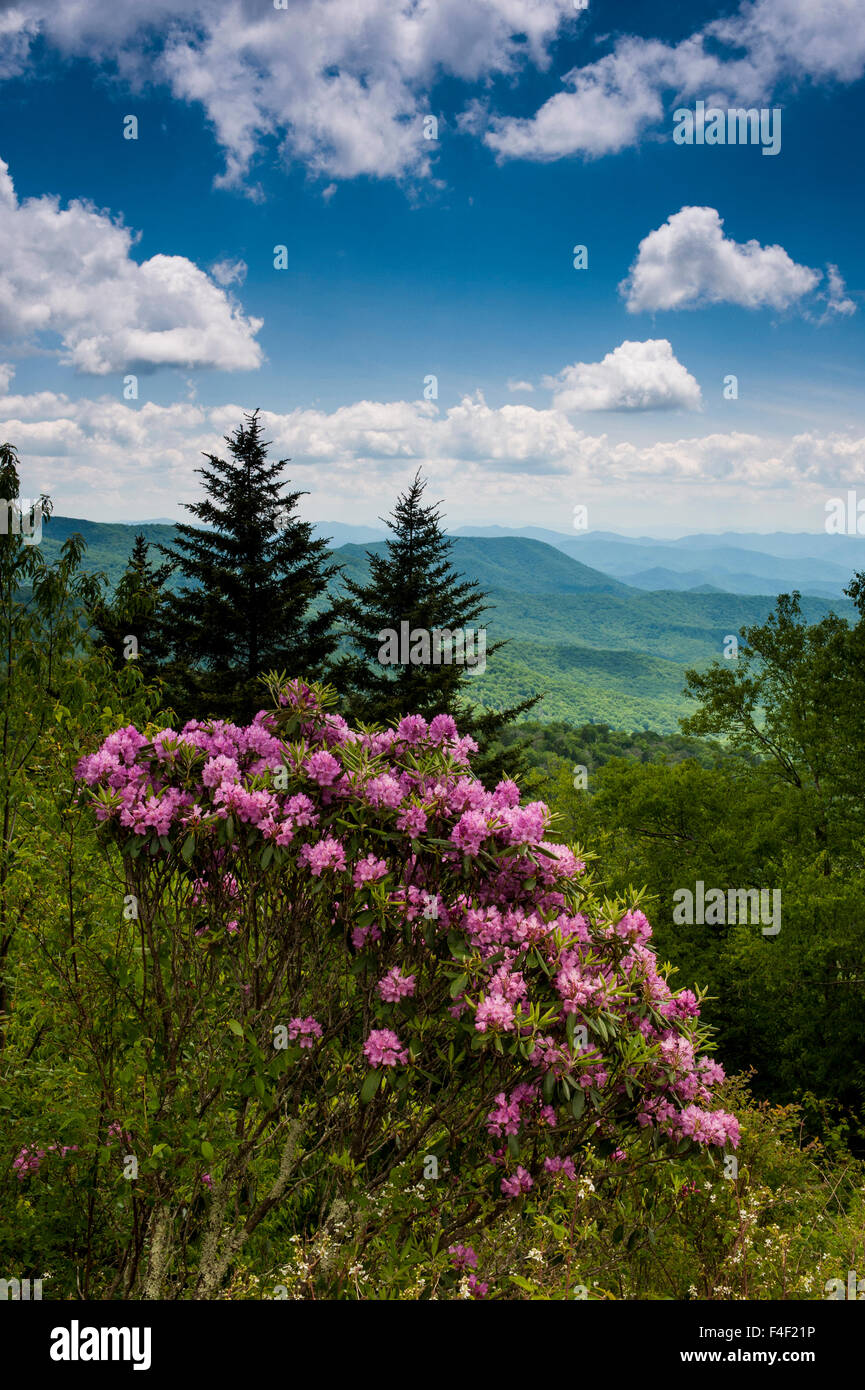 Cowee Mountain Overlook, Blue Ridge Parkway, North Carolina Stock Photo