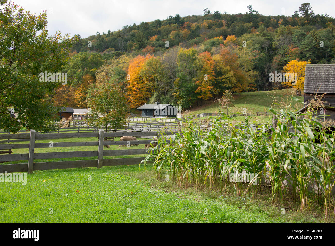 New York, Cooperstown, Farmers Museum. (Large format sizes available) Stock Photo