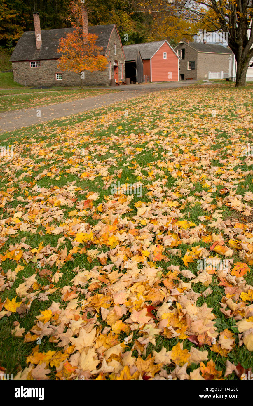 New York, Cooperstown, Farmers Museum. Historic buildings Autumn leaves. (Large format sizes available) Stock Photo