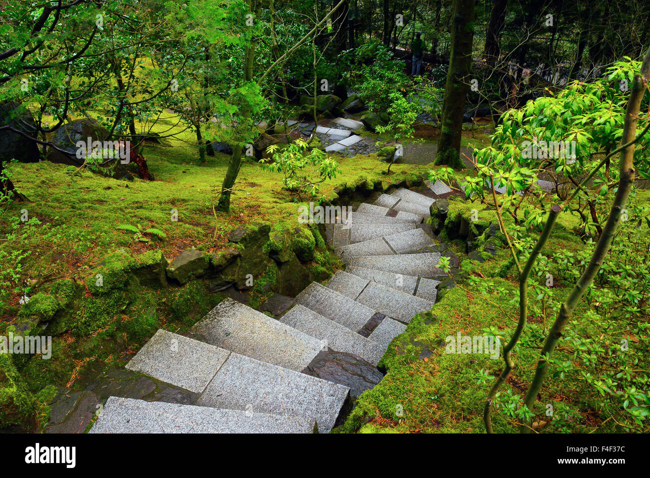downward steps, wild garden, Portland Japanese Garden, Portland, Oregon, USA (PR) Stock Photo
