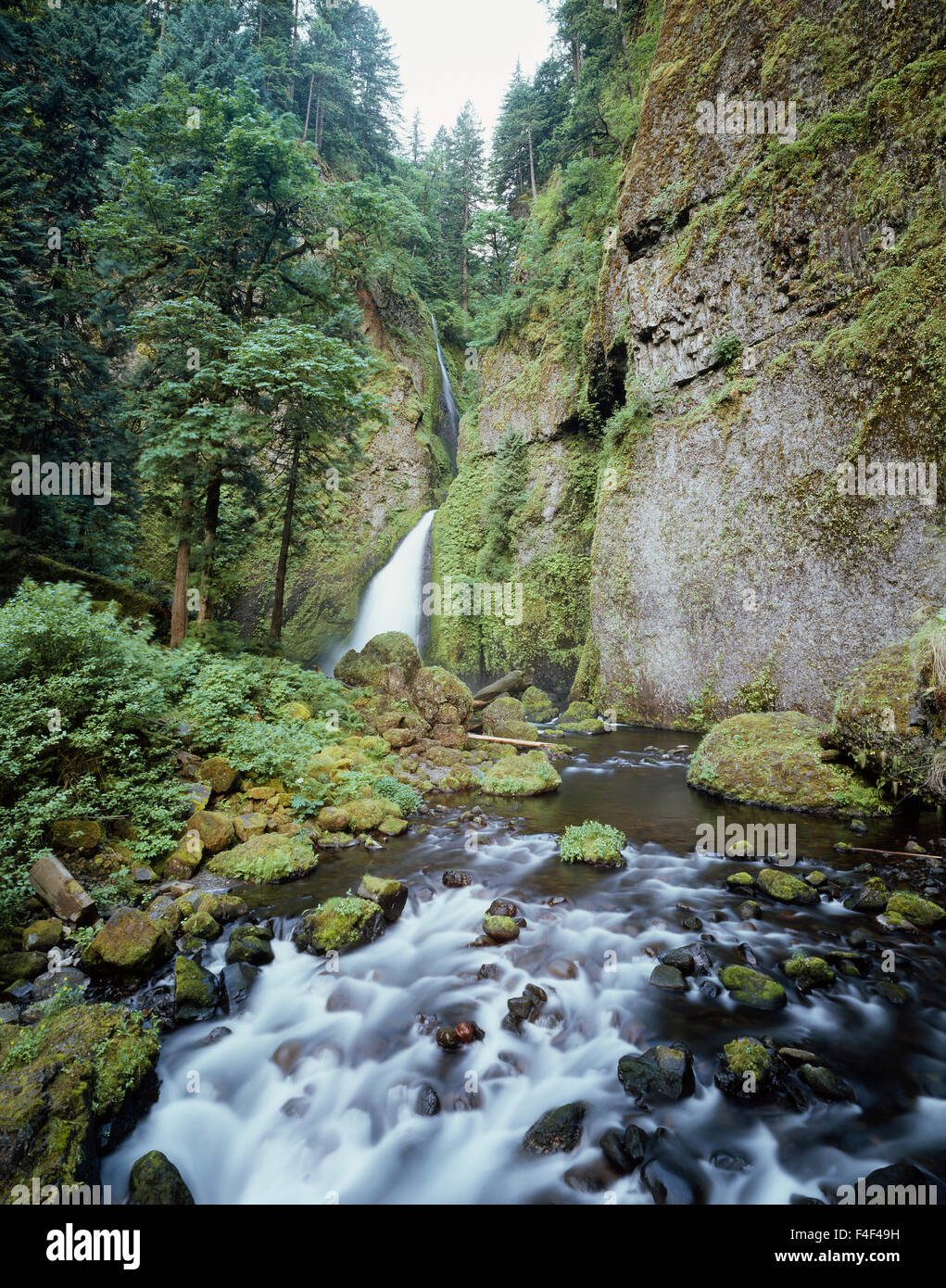 Christopher Creek Gorge Hi res Stock Photography And Images Alamy